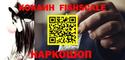 тгк Камышлов