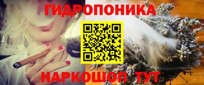 тгк Камышлов