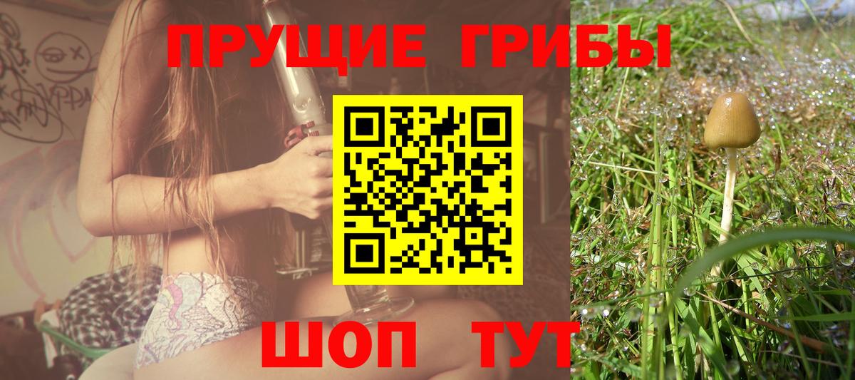 Псилоцибиновые грибы ЛСД  Галлюциногенные грибы ЛСД  Вход с VPN  Котовск 